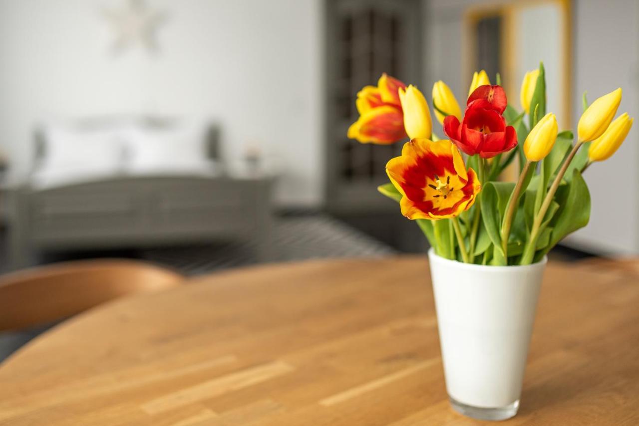Spacious Ultracentral Apartment 克卢日-纳波卡 外观 照片