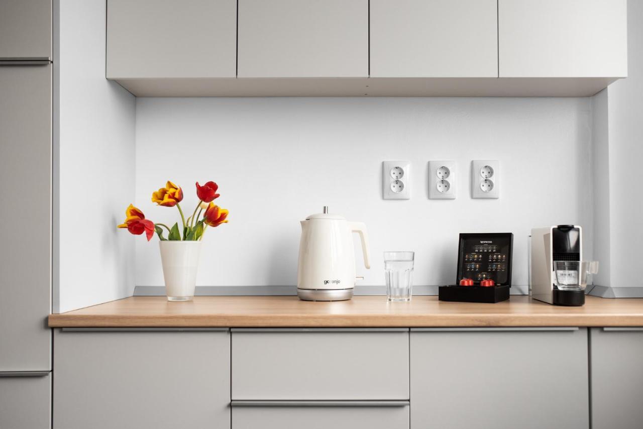 Spacious Ultracentral Apartment 克卢日-纳波卡 外观 照片
