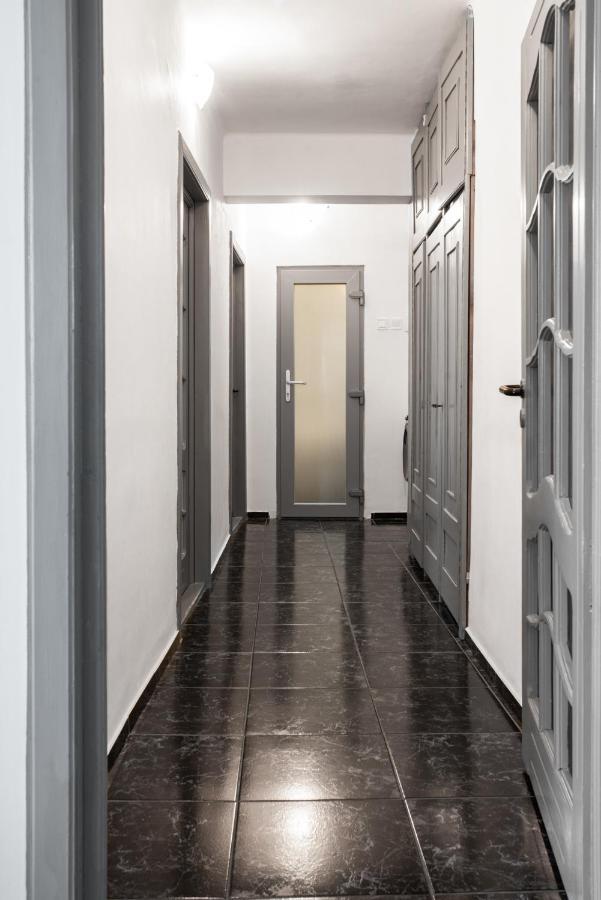 Spacious Ultracentral Apartment 克卢日-纳波卡 外观 照片
